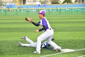 乐天桃猿队长林立在采访中提到，2026 赛季的目标是实现乐天在台湾的第一个连霸